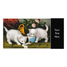 Dos gatitos blancos que derraman la leche tarjeta personal