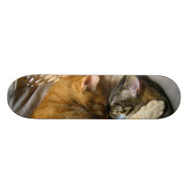 Dos gatos de Tabby el dormir que abrazan Tablas De Skate