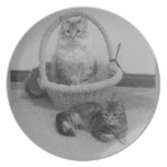dos gatos ennegrecen la placa del blanco de n plato para fiesta