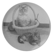 dos gatos ennegrecen la placa del blanco de n plato para fiesta