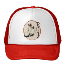 Dos gorras del óvalo de los gatos siameses