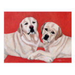 Dos Labradors amarillo que pinta 2 Tarjetas Postales