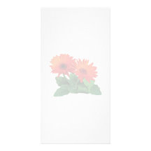 Dos margaritas anaranjadas del Gerbera Tarjeta Fotografica Personalizada