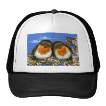 Dos petirrojos gorra