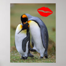 Dos pingüinos del amor posters