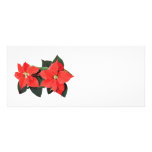 Dos Poinsettias rojos Lonas Publicitarias