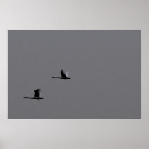 Dos Poster