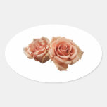Dos rosas del melocotón calcomania de oval