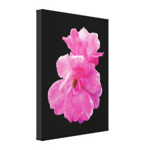 Dos rosas rosados en otoño lona estirada galerias