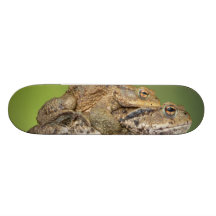 Dos sapos lindos patin personalizado
