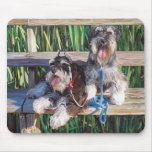 dos schnauzers en bench.jpg alfombrillas de ratones