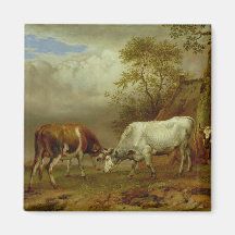 Dos toros con los cuernos bloqueados, 1653 iman
