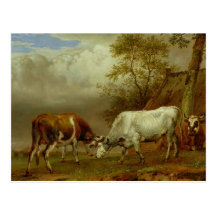 Dos toros con los cuernos bloqueados, 1653 tarjeta postal