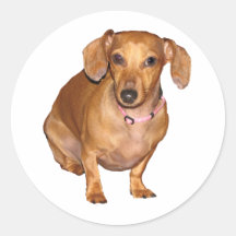 DottieDoxie Etiqueta Redonda