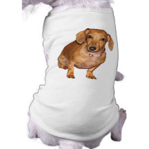DottieDoxie Ropa De Mascota