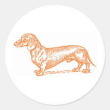 Doxie clásico - naranja etiquetas  