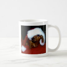Doxie Taza