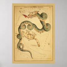 Draco el dragón - carta de estrella astronómica de poster