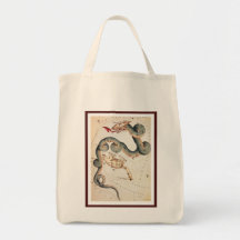 Draco y menor de Ursa Bolsa