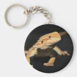 Dragón barbudo curioso llaveros personalizados