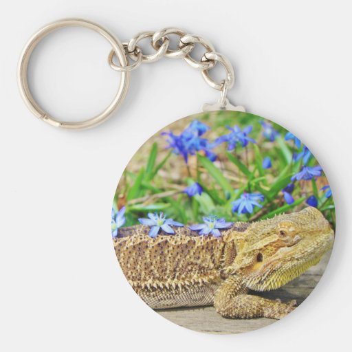 Dragón barbudo de relajación llaveros personalizados