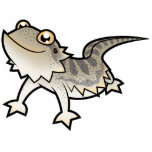 Dragón barbudo del dibujo animado/dragón de Rankin Esculturas Fotográficas