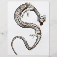 Dragón blanco tarjetas informativas