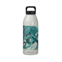 Dragón de agua botellas de beber