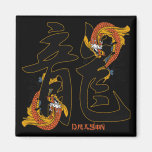 Dragón de los pescados de Koi del kanji Imanes Para Frigoríficos