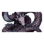 Dragón de Ohkin Tarjetas Con Fotos Personalizadas
