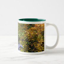 Dragón del otoño taza