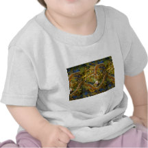 DRAGÓN IMPERIAL CAMISETAS