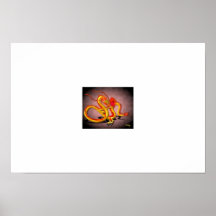 Dragón Posters