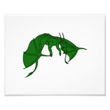 dragón verde que vuela outline.png fotografia