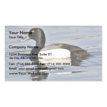 Drake del mayor Scaup Tarjeta De Negocio