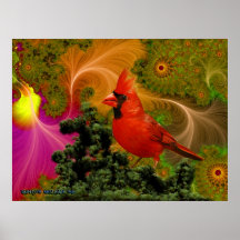 Dreams2 cardinal impresiones