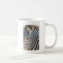 dreamstimefree_3750677-zebra taza