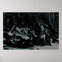 DRIFTWOOD DE AFTERHOURS POSTER