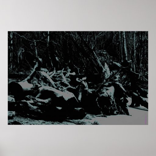 DRIFTWOOD DE AFTERHOURS POSTER