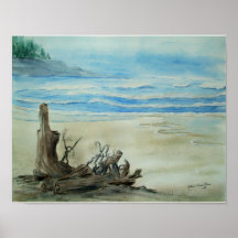 Driftwood en el poster de la acuarela de la playa