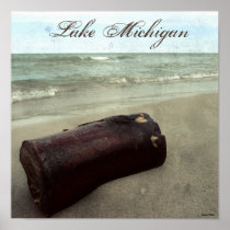 Driftwood retro hermoso de la playa del lago Michi posters