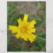 DSC00409yellowflower Tarjeta Publicitaria