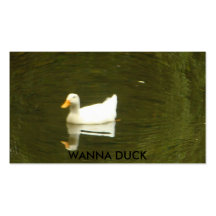 DSC01380, QUIEREN DUCK PLANTILLAS DE TARJETA DE NEGOCIO