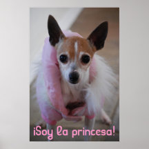 ¡DSC_0015, princesa iSoy del la! Poster