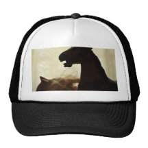 DSC_0028 GORRAS DE CAMIONERO