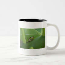 DSC_1087 TAZAS