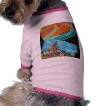 DSCF1479 T-SHIRT PARA CÃES