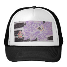 DSCF1691 GORRA