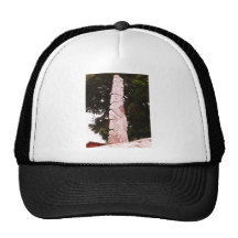 DSCN2054 GORRAS DE CAMIONERO