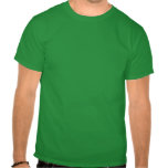 Dualidad de la Onda-Partícula dentro del principio Camiseta